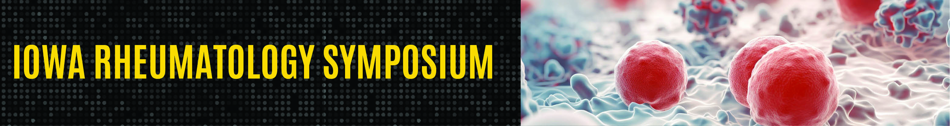 36th Annual Rheumatology Symposium – Systems in Inflammation: From Vasculitis to Scleroderma Banner